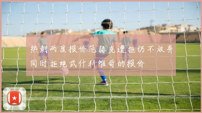 热刺两度报价范赫克遭拒仍不放弃同时拒绝武什科维奇的报价