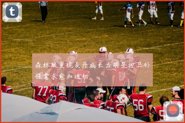 森林狼重视麦丹成长为明星控卫补强需求愈加迫切