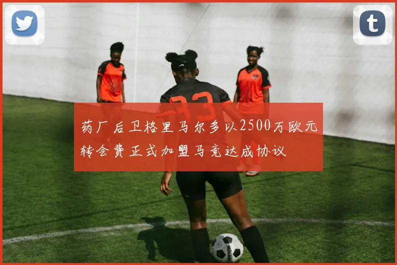 药厂后卫格里马尔多以2500万欧元转会费正式加盟马竞达成协议